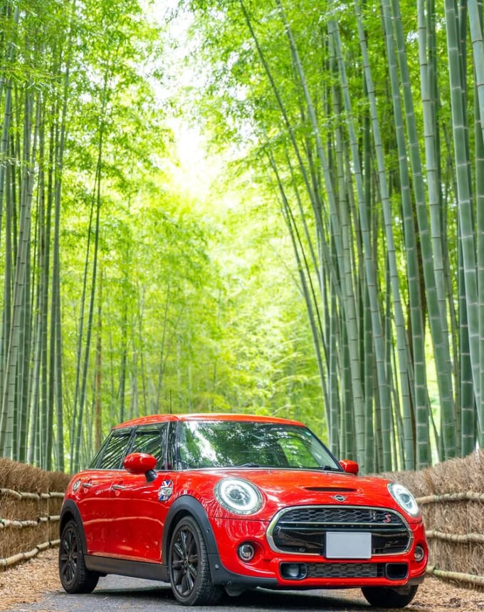 451807781_7323076114458980_6114851318748840635_n