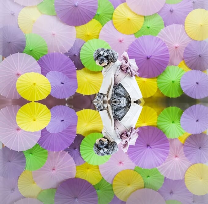 452139502_467812076208078_292023227594829846_n