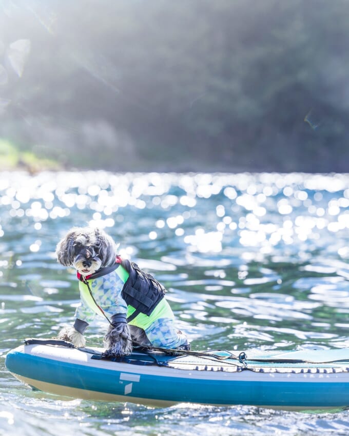 456466909_3120111478128619_5519049753528430236_n