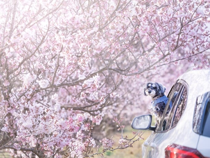 486001251_18394389124109012_6772718724284558285_n