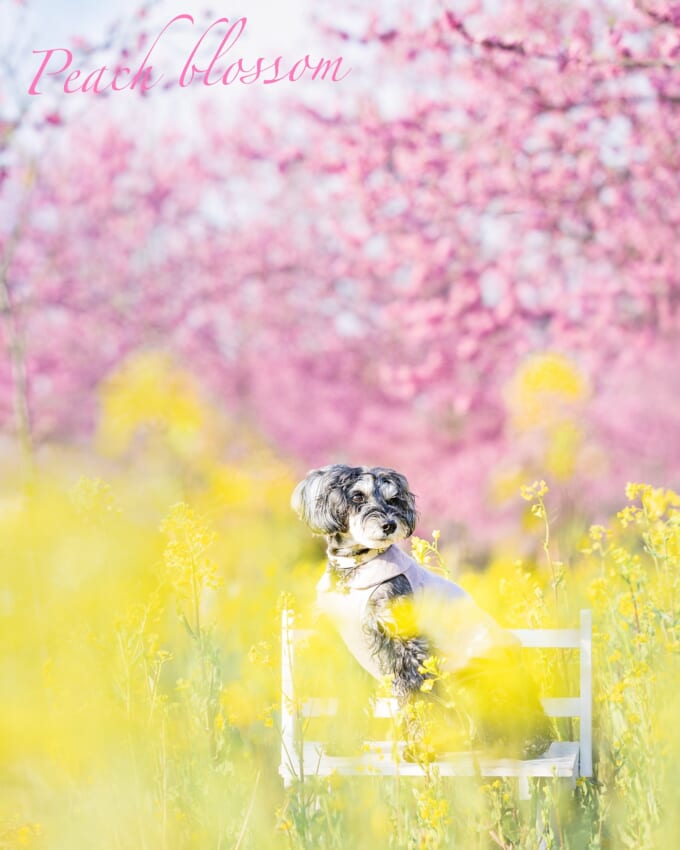 487775600_18395882209109012_7822530702260162477_n