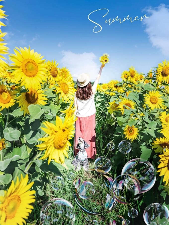 526996063_18067983173153179_1987094568954410157_n