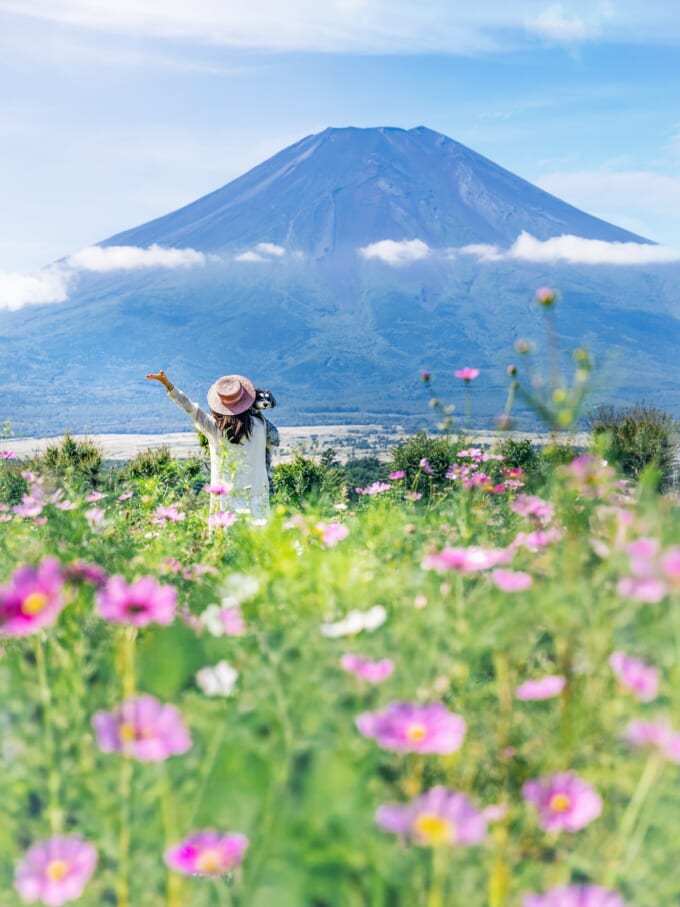 555816013_18421649878109012_2073537330727864440_n