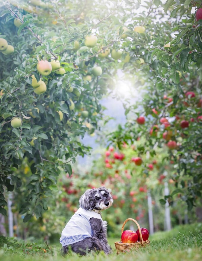 573852097_18428188180109012_1281309995936183569_n