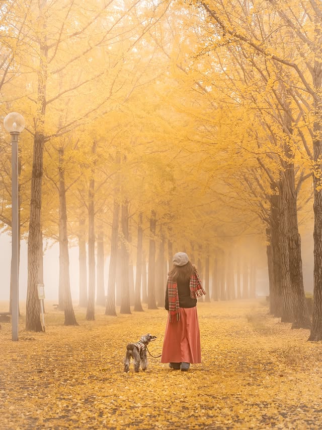 581374232_18429808393109012_5929799533004422298_n