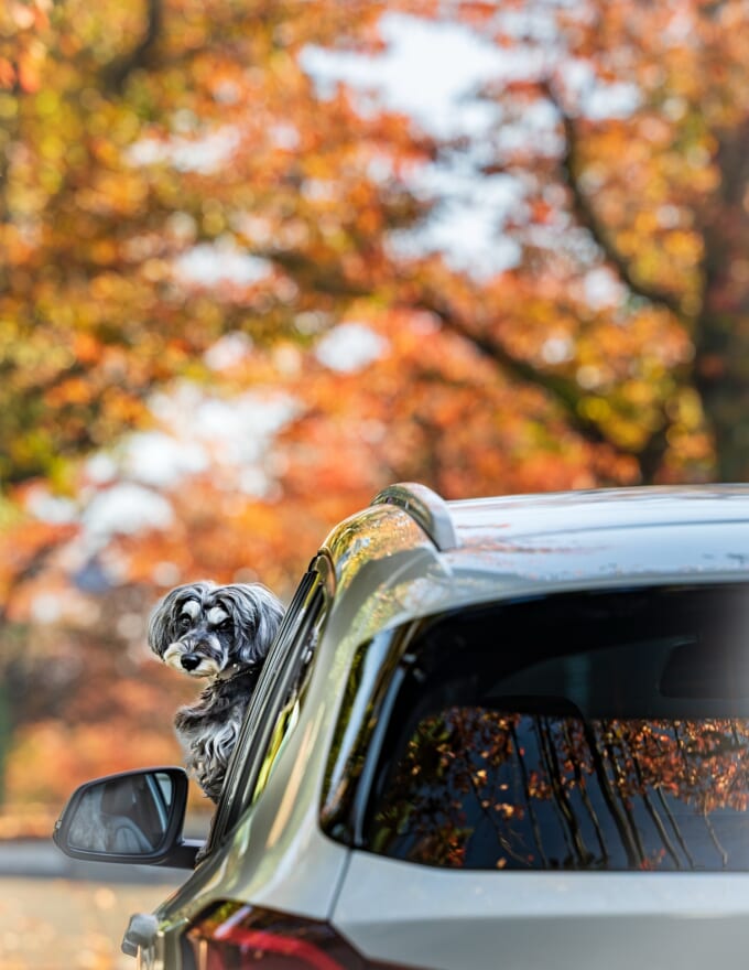 582645418_18431352094109012_547147571546824638_n