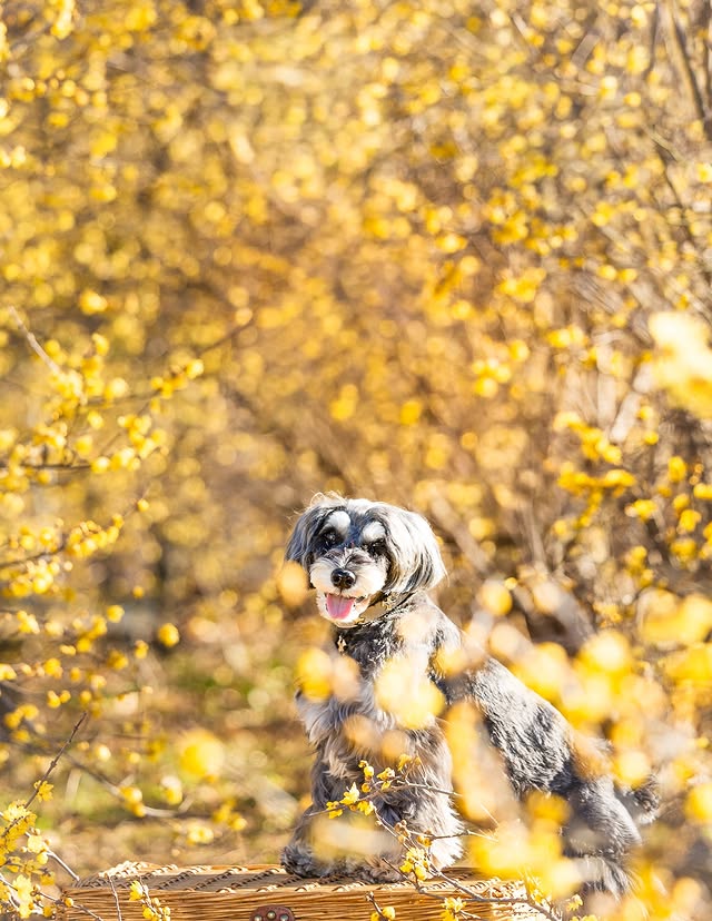 619837029_18439630027109012_483250788457937847_n