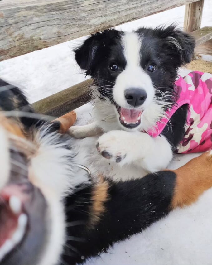 やんちゃなうず