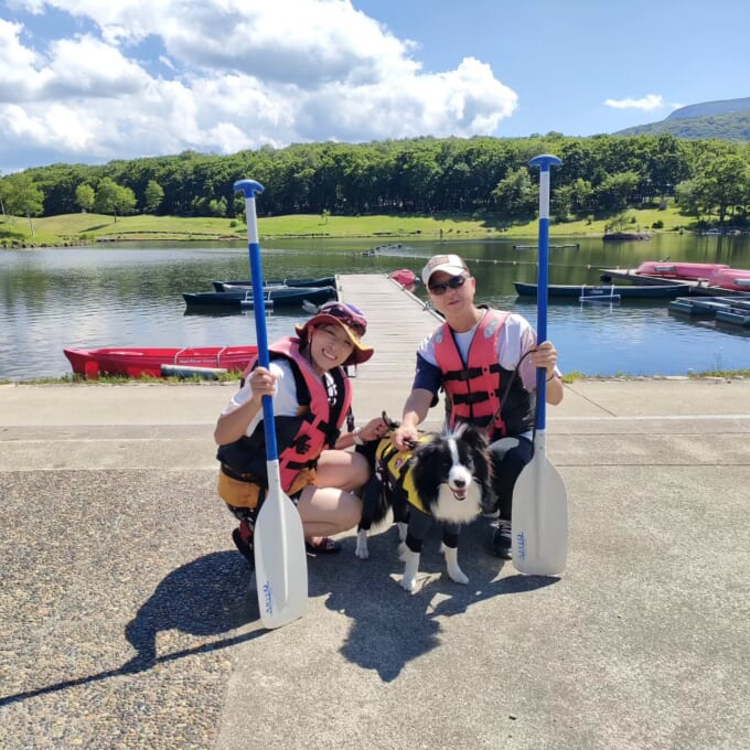 エンジェルフォレスト