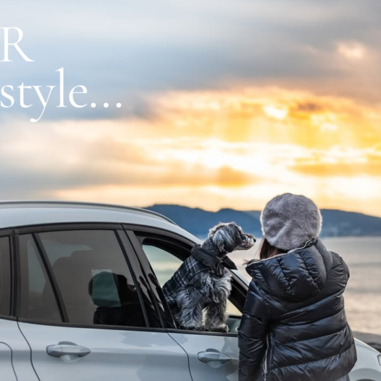 サイトアイキャッチｓ