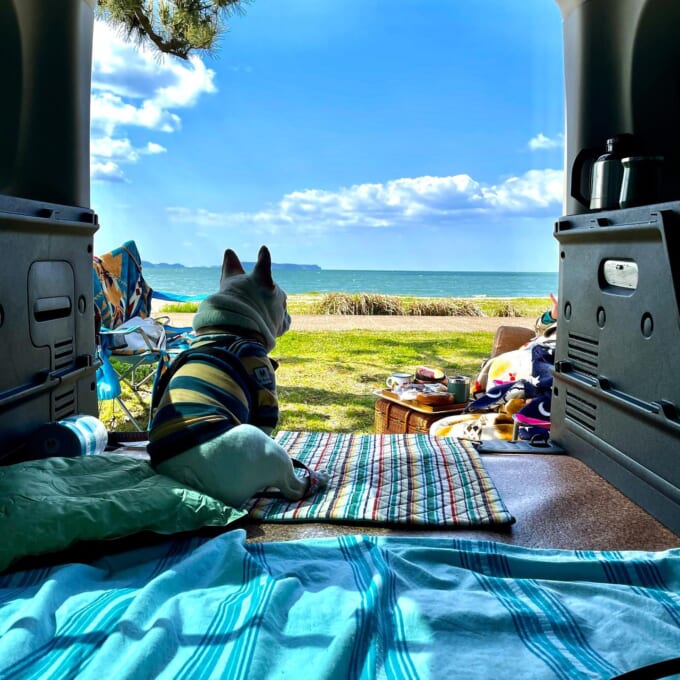 ピクニック車中