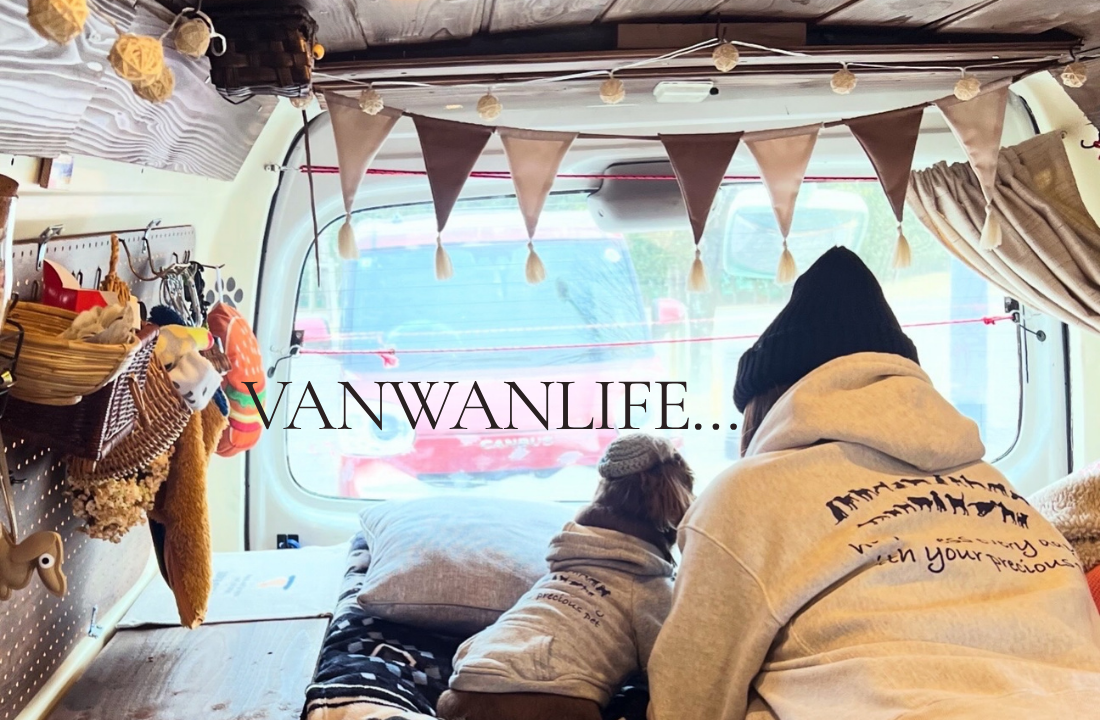 愛犬るい君と、ちょこタン色のボンゴブローニィバンと。わが家が見つけた自由なVAN WAN LIFE | 暮らしとくるま