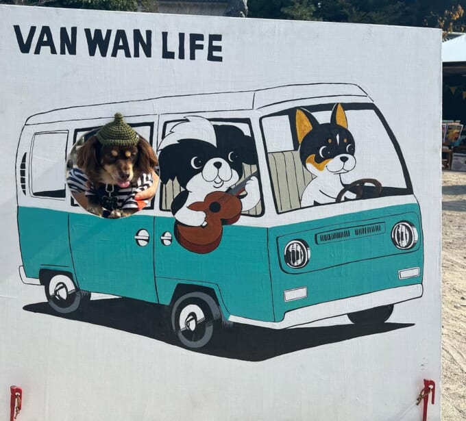愛犬るい君と、ちょこタン色のボンゴブローニィバンと。わが家が見つけた自由なVAN WAN LIFE | 暮らしとくるま