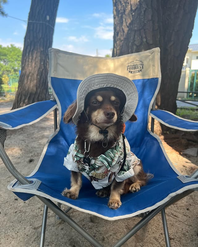 384575262_283834381119946_551719827488682504_n