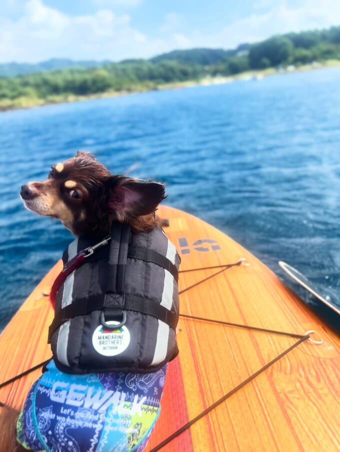 541146133_17981059529900286_6637234839611122499_n