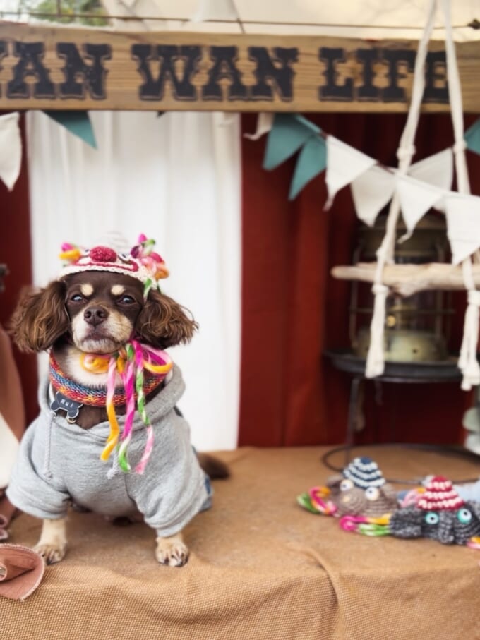 572271745_17988683960900286_340854300753569802_n