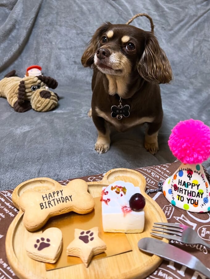 619237808_17996885987900286_3700839514224869486_n