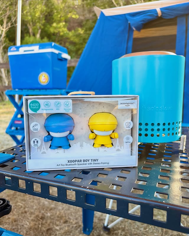 651387067_18568492339055899_4275336479776690953_n