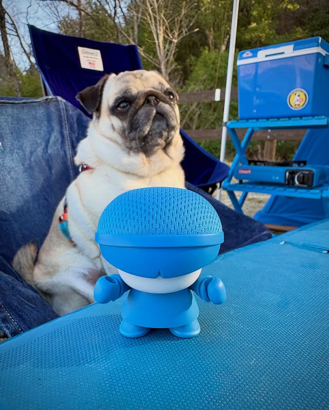 651557439_18568492402055899_5954027150065877303_n