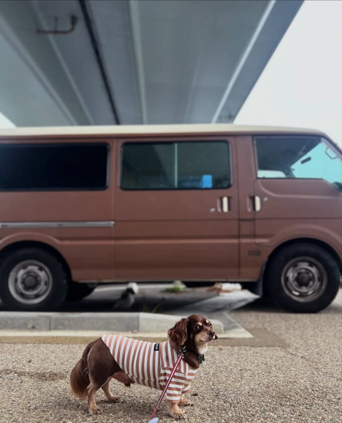 van3