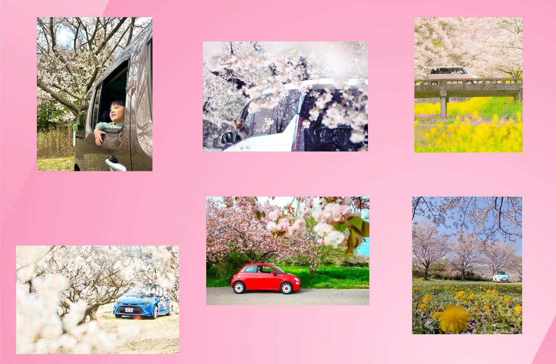 【サイトアイキャッチ】投稿紹介