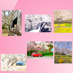 【サムネイル】モニターキャンペーン (1080 x 1080 px)