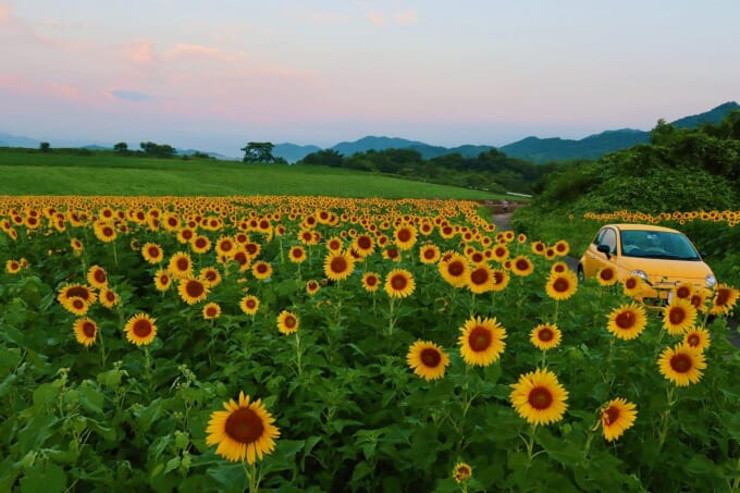 364063516_18040768129498946_8923325847939927162_n