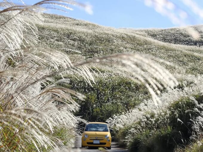 397236515_18051988513498946_683513542012469337_n