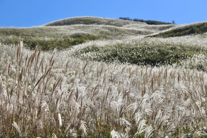 397410982_18052265872498946_4839844072638559086_n