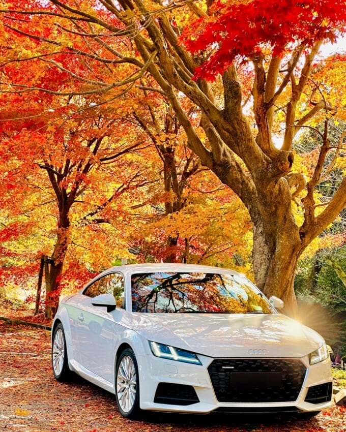 468254337_984730106749606_3072740536478417348_n