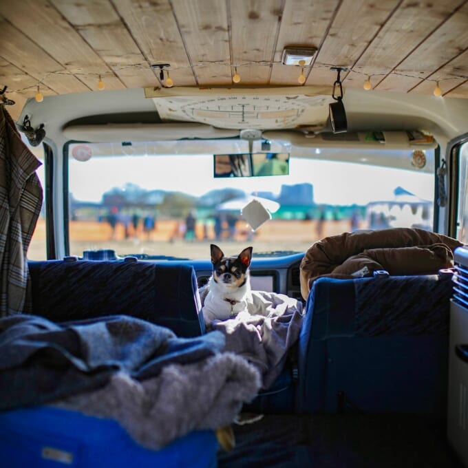 471661074_9365942243445362_4265100496607506422_n-680x680