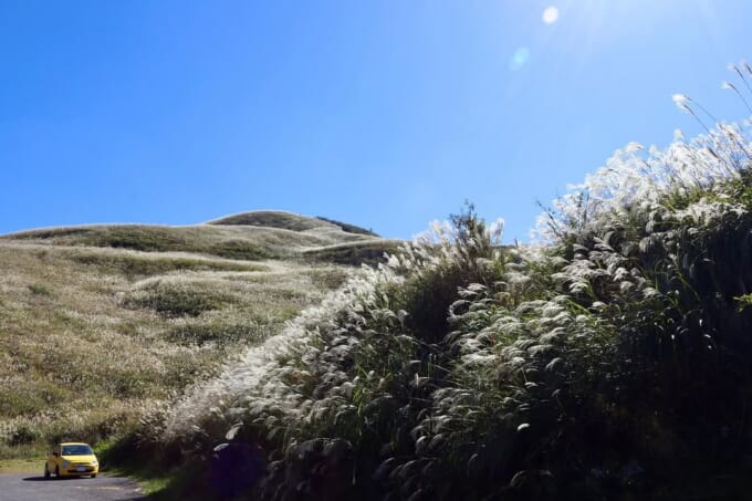 484568190_18104198734498946_1761386658920228925_n.jpg1