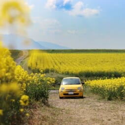 491452381_18109361755498946_3504519099206914038_n