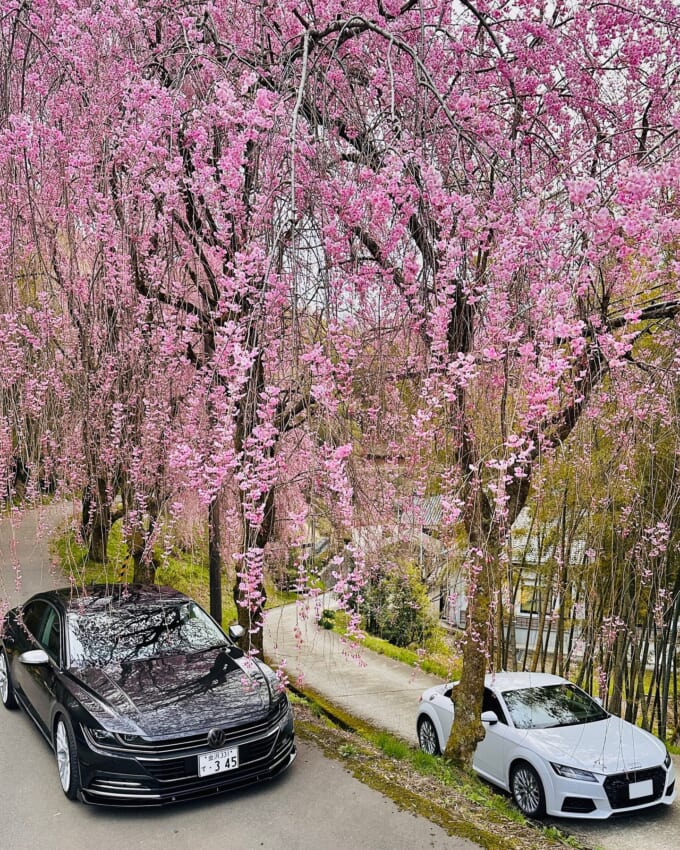 491459372_18113758114467064_1276829654053850911_n