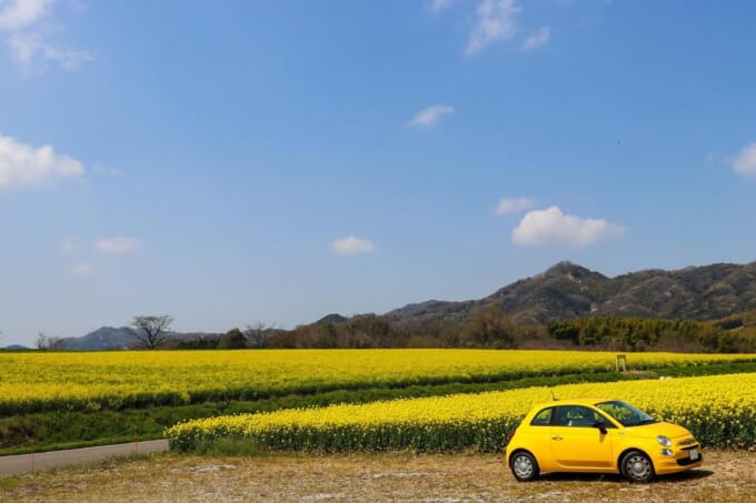 496832333_18109215982498946_2349031692110101877_n