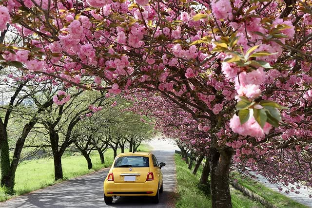 497717657_18109637170498946_4758054877499133650_n