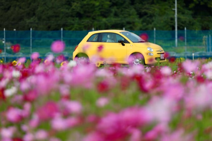 568362390_18126527989498946_5738949945068315105_n