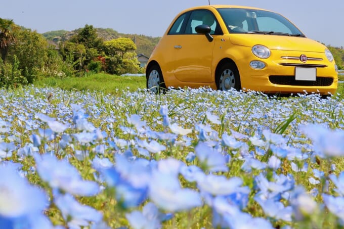 618569026_17940854933979837_3468799718967000436_n