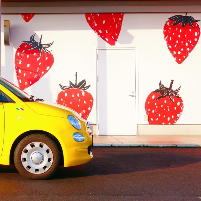 622443270_18094183813771204_4906152340218676979_n