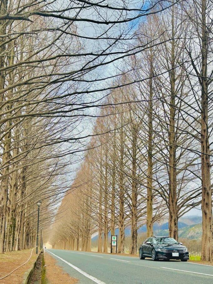 652840438_18147574456467064_2170017876175719060_n