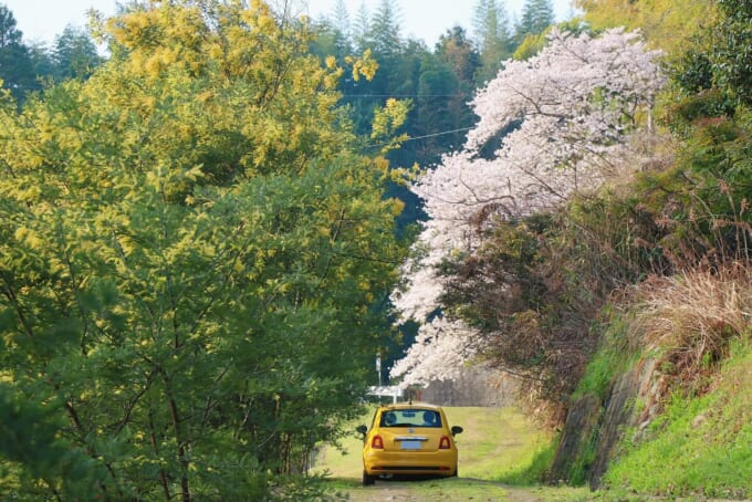 2 maki500_fia