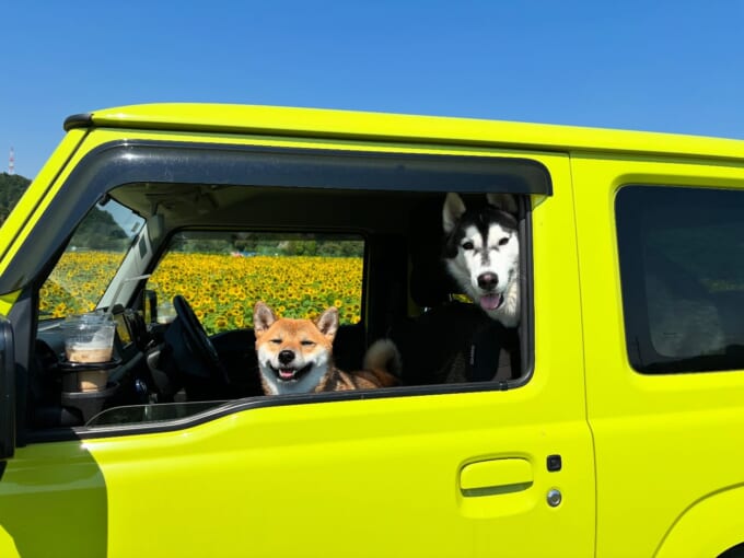 犬のいる暮らしとくるま2